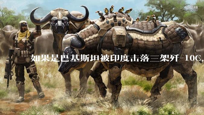 如果是巴基斯坦被印度击落三架歼-10C,这些天舆论会是怎样的?
