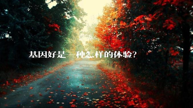 基因好是一种怎样的体验？