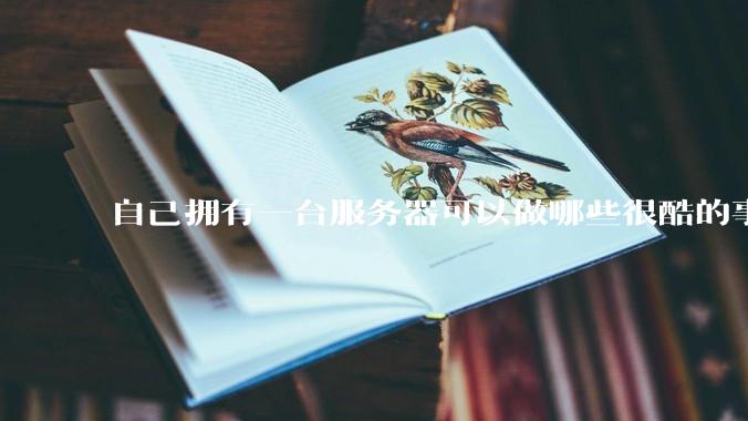 自己拥有一台服务器可以做哪些很酷的事情？