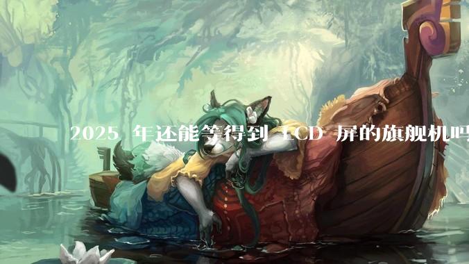 2025 年还能等得到 LCD 屏的旗舰机吗？
