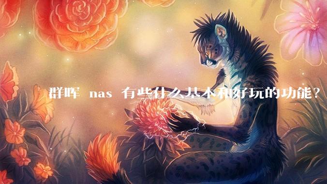 群晖 nas 有些什么基本和好玩的功能？