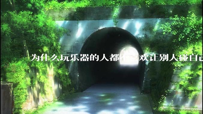 为什么玩乐器的人都不喜欢让别人碰自己的乐器？