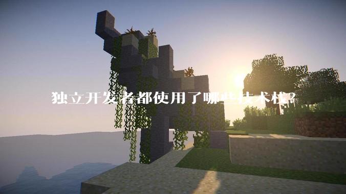 独立开发者都使用了哪些技术栈？
