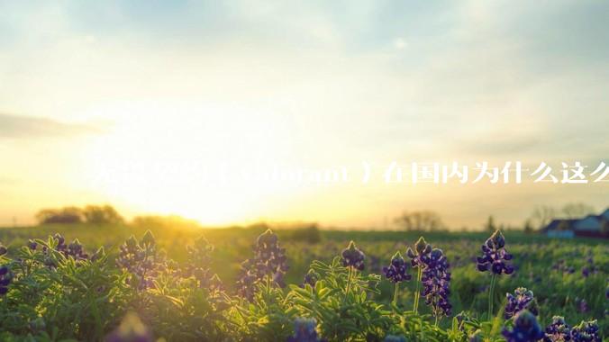 无畏契约（valorant）在国内为什么这么火?