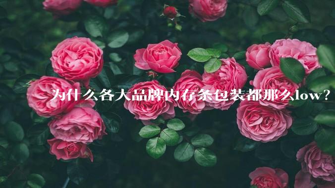 为什么各大品牌内存条包装都那么low？